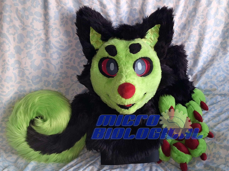8 - Mini partial